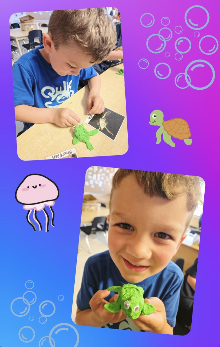 Holley DOrazio tweet media