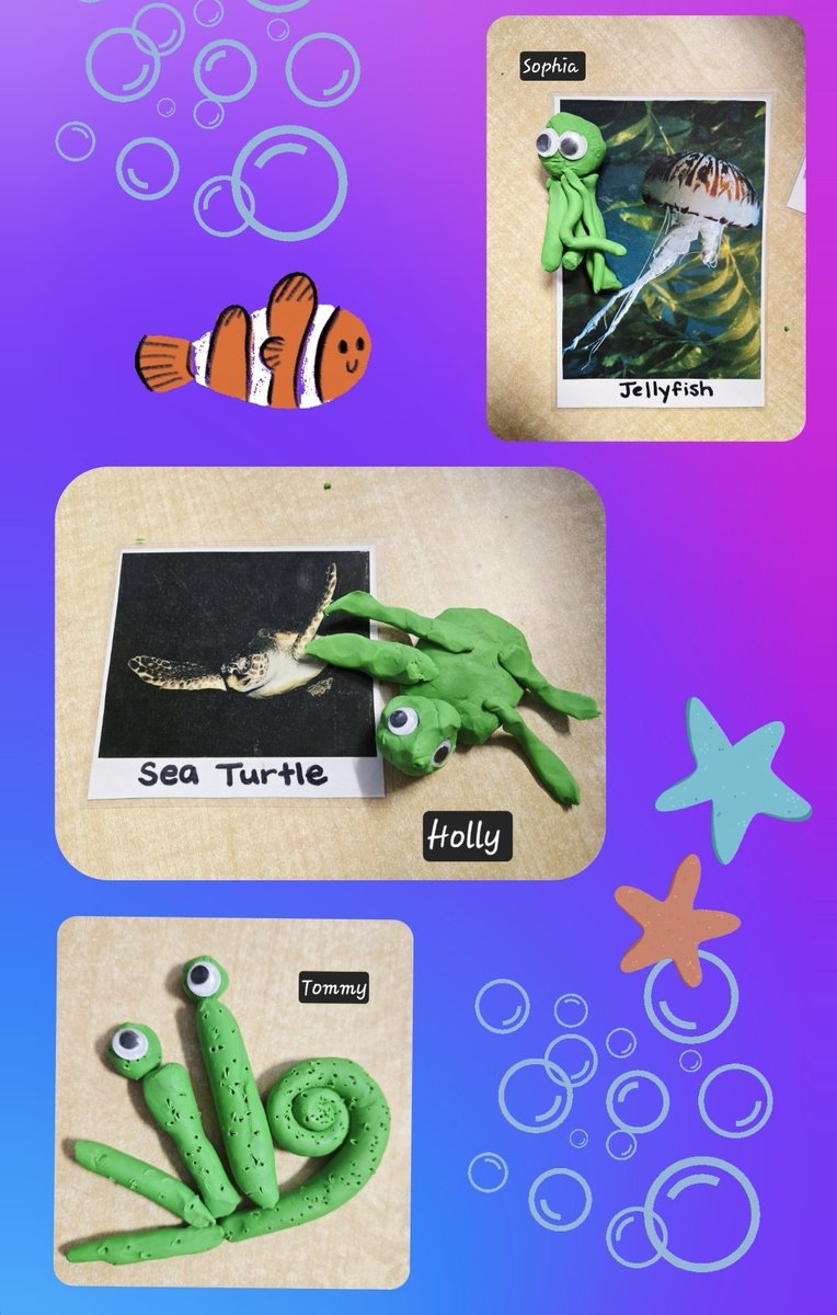 Holley DOrazio tweet media