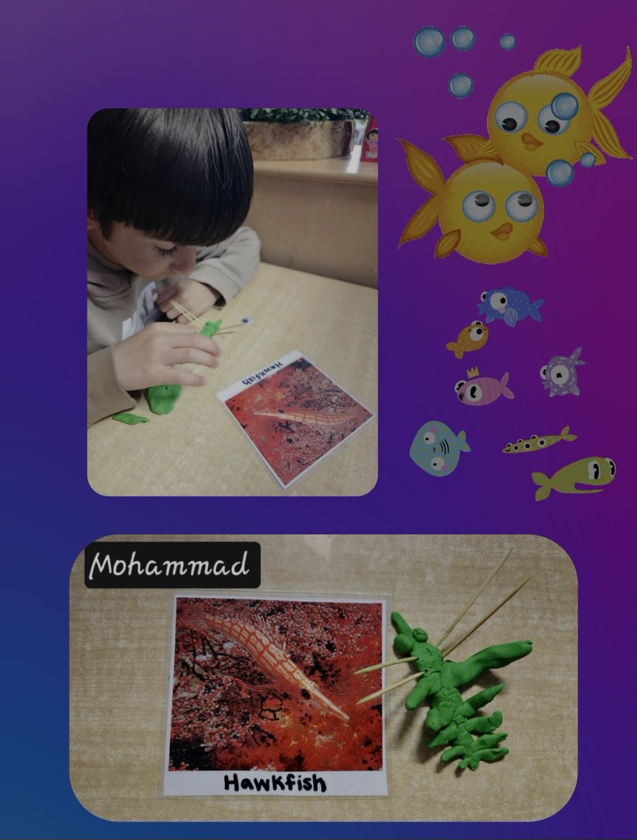 Holley DOrazio tweet media