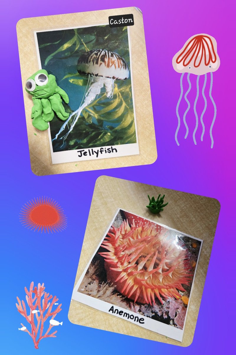 Holley DOrazio tweet media