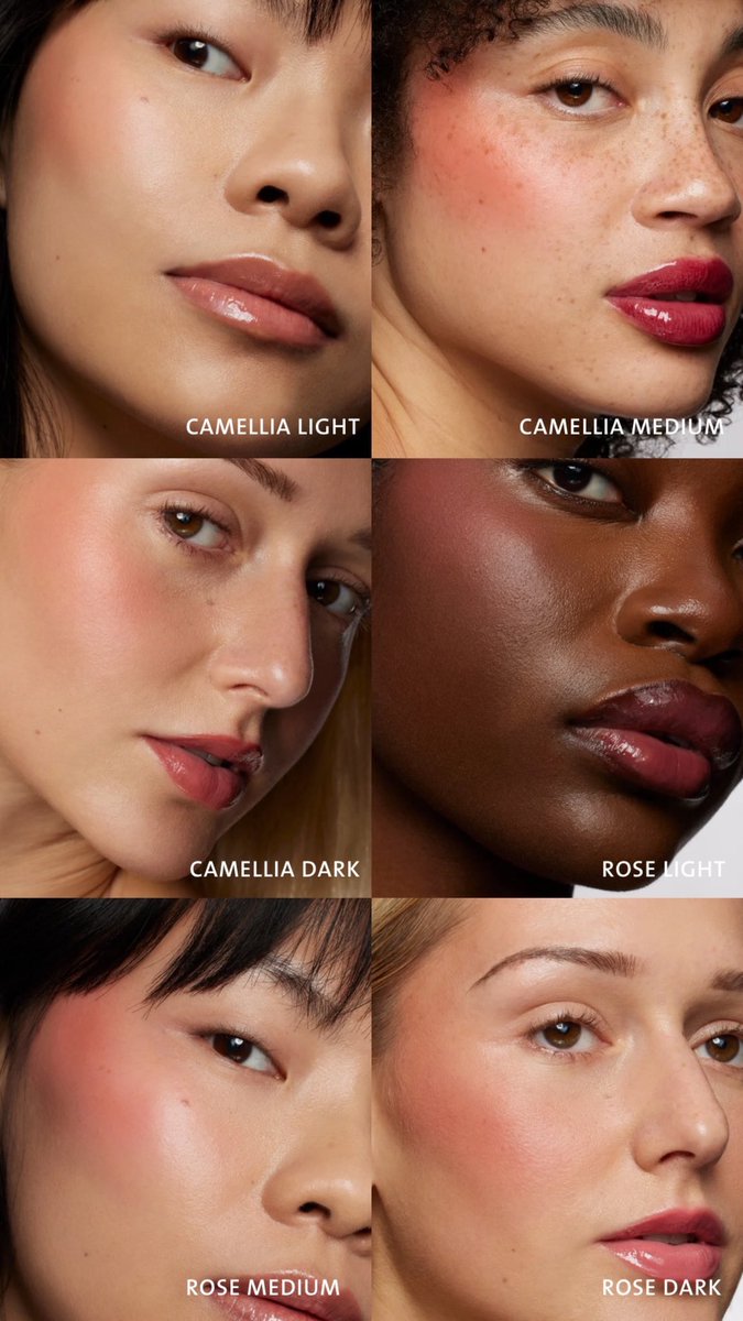 mrayabeauty's tweet photo. What shade are you? https://t.co/wsg6C5YxHx