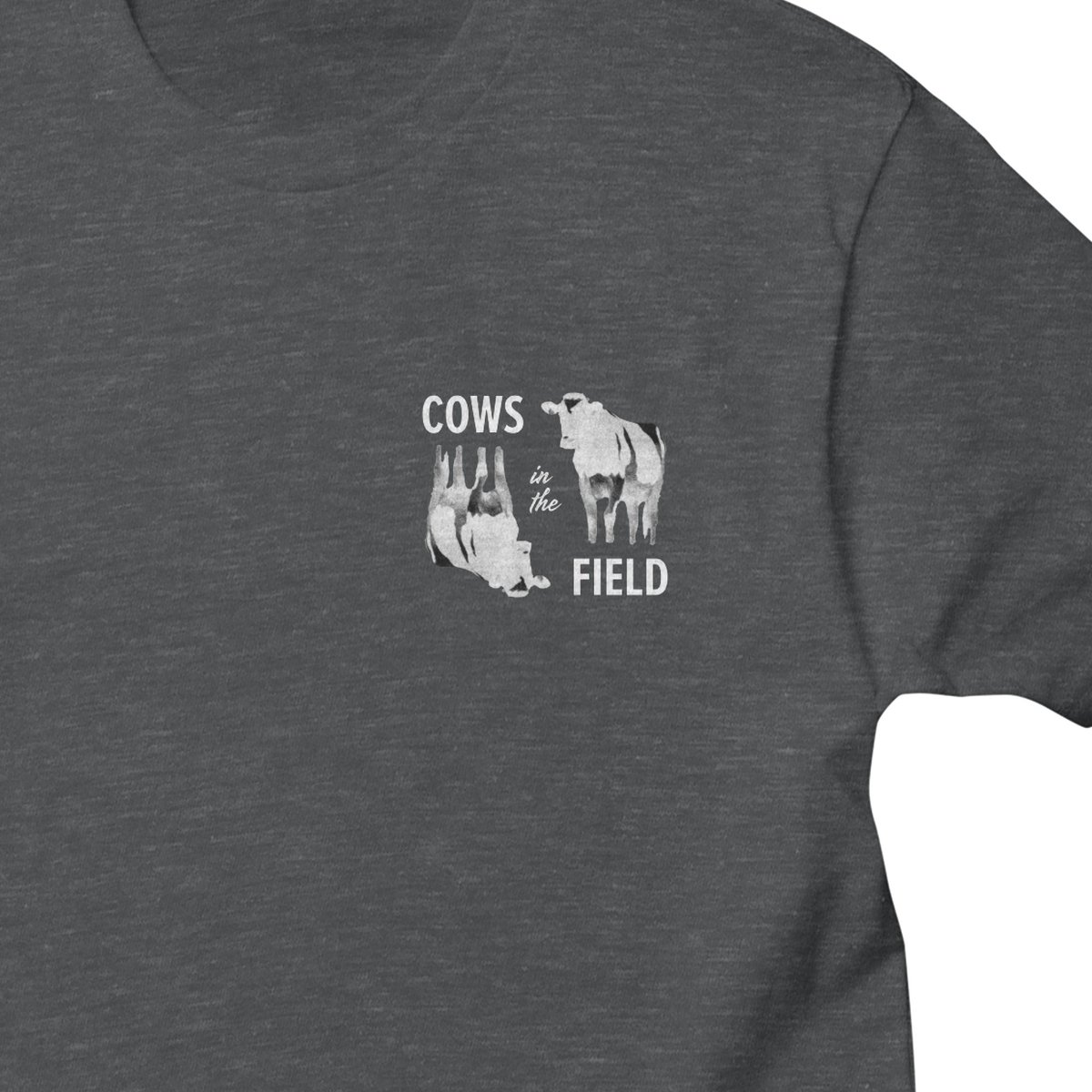 Cows in the Field 🐄 tweet media