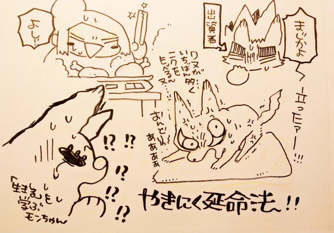 肉パワー
まじすんごい!!! 