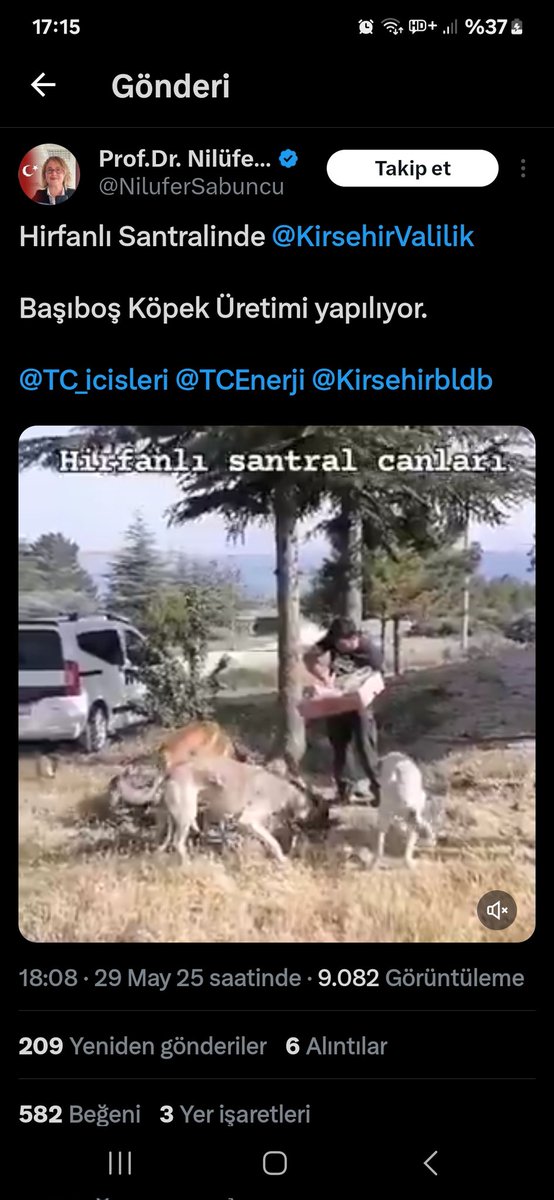 Bu Profesör neden işini yapmıyor?
Tüm mesaisini hayvan düşmanlığına harcıyor
Sözde bilim insanıymış,
Ortaçağ da cadı avı yapanlar gibi  hedef göstererek tweetler atmak ne kadar insani ne kadar bilimsel?