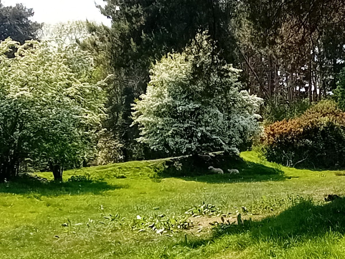 Raidió na Life (@raidionalife) on Twitter photo Ar an Imeall, 8-9in ASÉ le @lsmithmacgabhan, ceol ó 40bl ó shin, 1985:
<a href="/remhq/">R.E.M. HQ</a>
<a href="/TheMekons/">The Mekons</a>
<a href="/TheReplacements/">The Replacements</a>
Dramarama
Velvet Underground
J Fogerty
Minutemen
Camper v Beethoven
Meat Puppets
G Clinton
Artists Utd v Apartheid
<a href="/TheBladesBand/">The Blades</a> Ar an Imeall, 8-9in ASÉ le @lsmithmacgabhan, ceol ó 40bl ó shin, 1985:
<a href="/remhq/">R.E.M. HQ</a>
<a href="/TheMekons/">The Mekons</a>
<a href="/TheReplacements/">The Replacements</a>
Dramarama
Velvet Underground
J Fogerty
Minutemen
Camper v Beethoven
Meat Puppets
G Clinton
Artists Utd v Apartheid
<a href="/TheBladesBand/">The Blades</a>