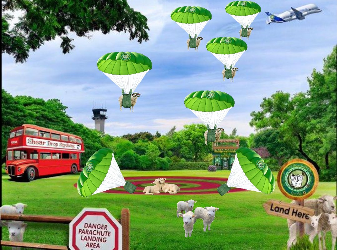 <a href="/BagginsSuperCat/">Baggins!</a> <a href="/Boris56056403/">🌈Boris and Romeo Furkinson</a> Sheepies on it Baggins as they land will form into a woolen crash mat ! #hwcafe 😹😹😹