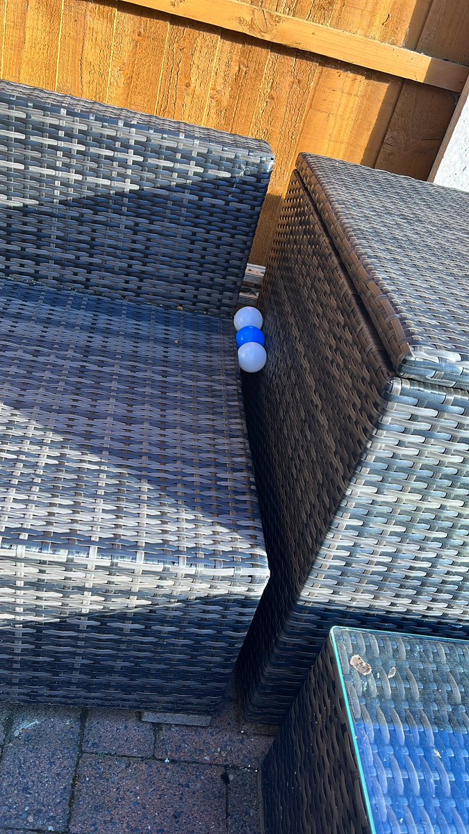 likachu96's tweet photo. Not been posting on here lately. Life’s a bit shit but I thought I saw a swablu irl https://t.co/VAr5R9ojsG