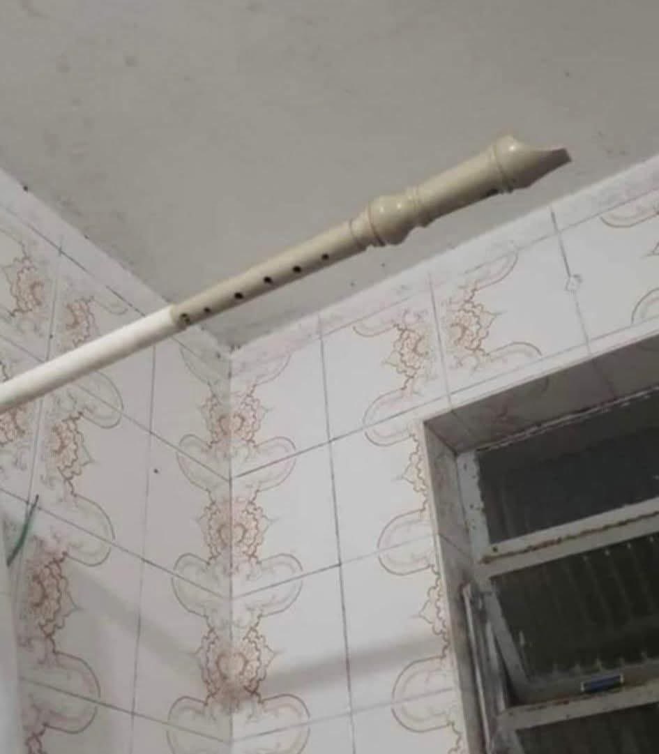 Por fin le encontré uso a la flauta que me compraron el 87’