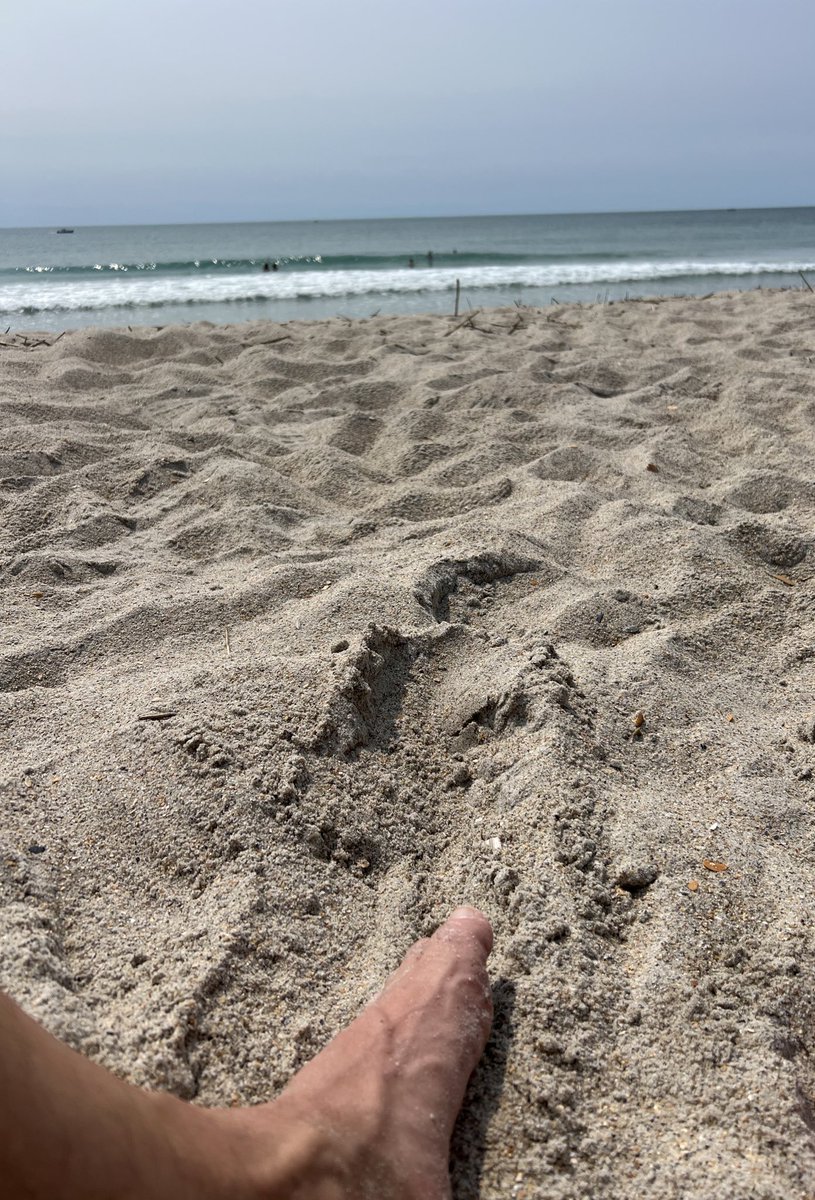 Stephen Harris tweet media