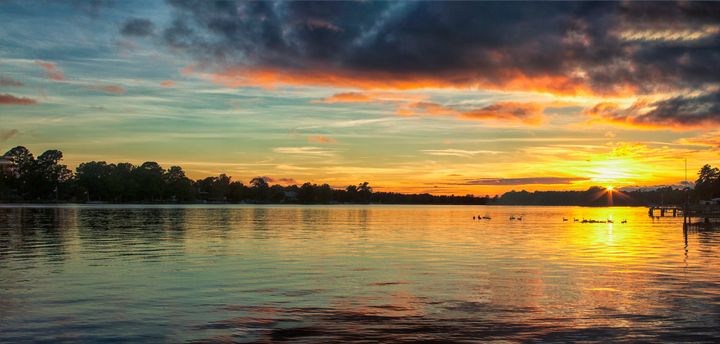 Art of the Day: "Wildlife on Lake Sunset". Buy at: ArtPal.com/tvasas?i=14114…