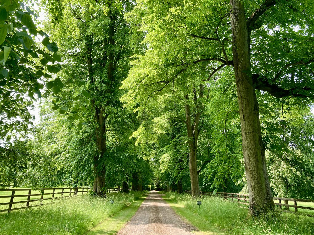 ben89661370's tweet image. The rest of my walk was also kinda nice
