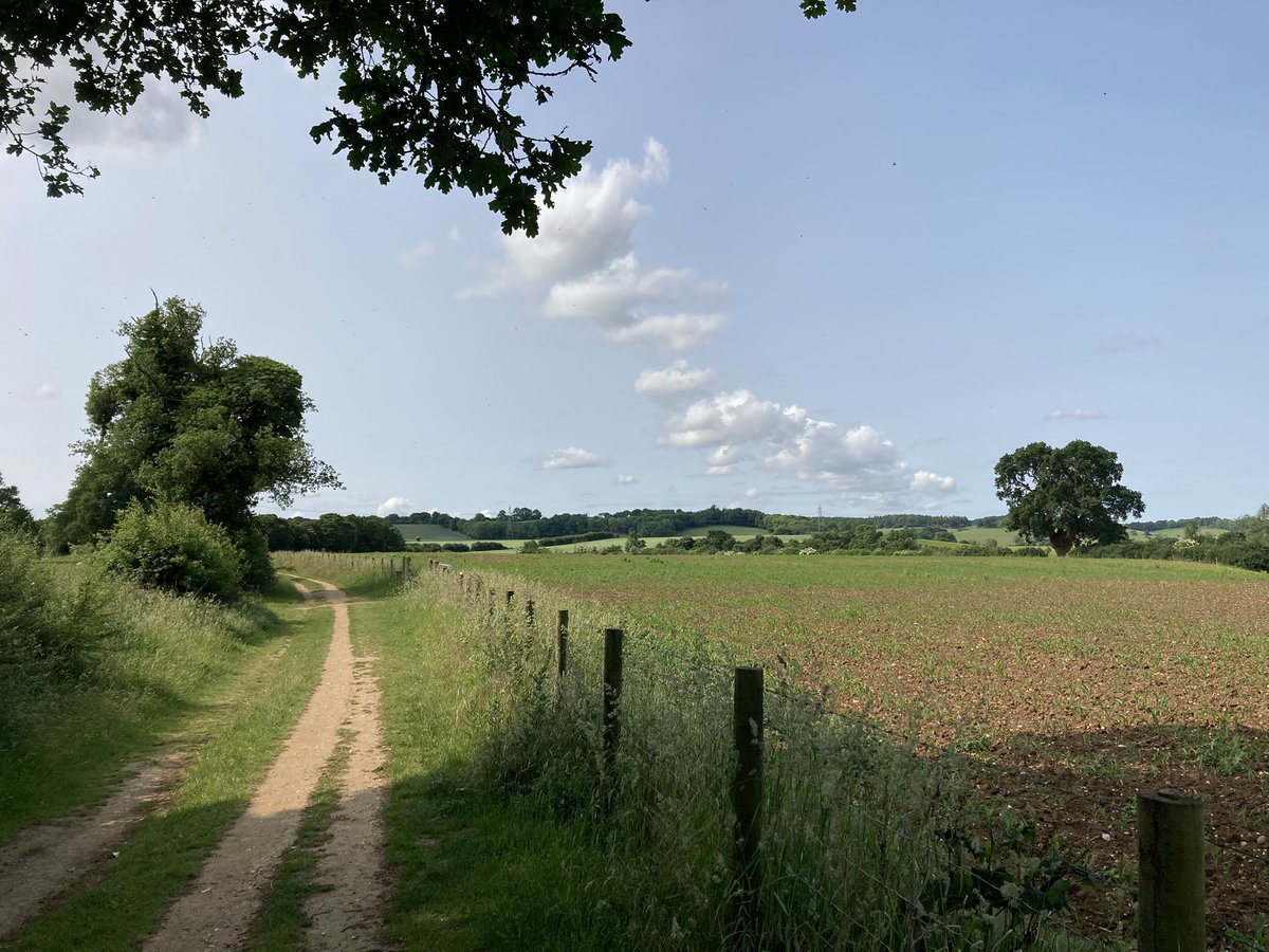 ben89661370's tweet image. The rest of my walk was also kinda nice