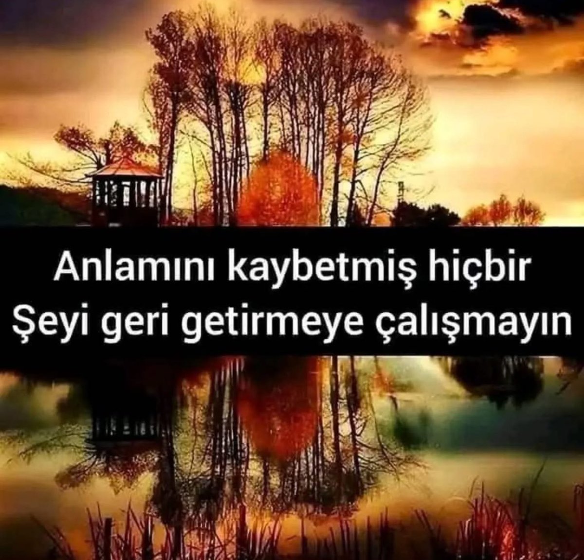 Yüksel Eyüboğlu (@eyuboglu_yuksel) on Twitter photo 