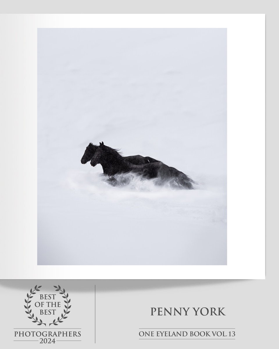 oneeyeland.com/book/
Download the book in PDF format for free

#OneEyeland #BestOfTheBest2024