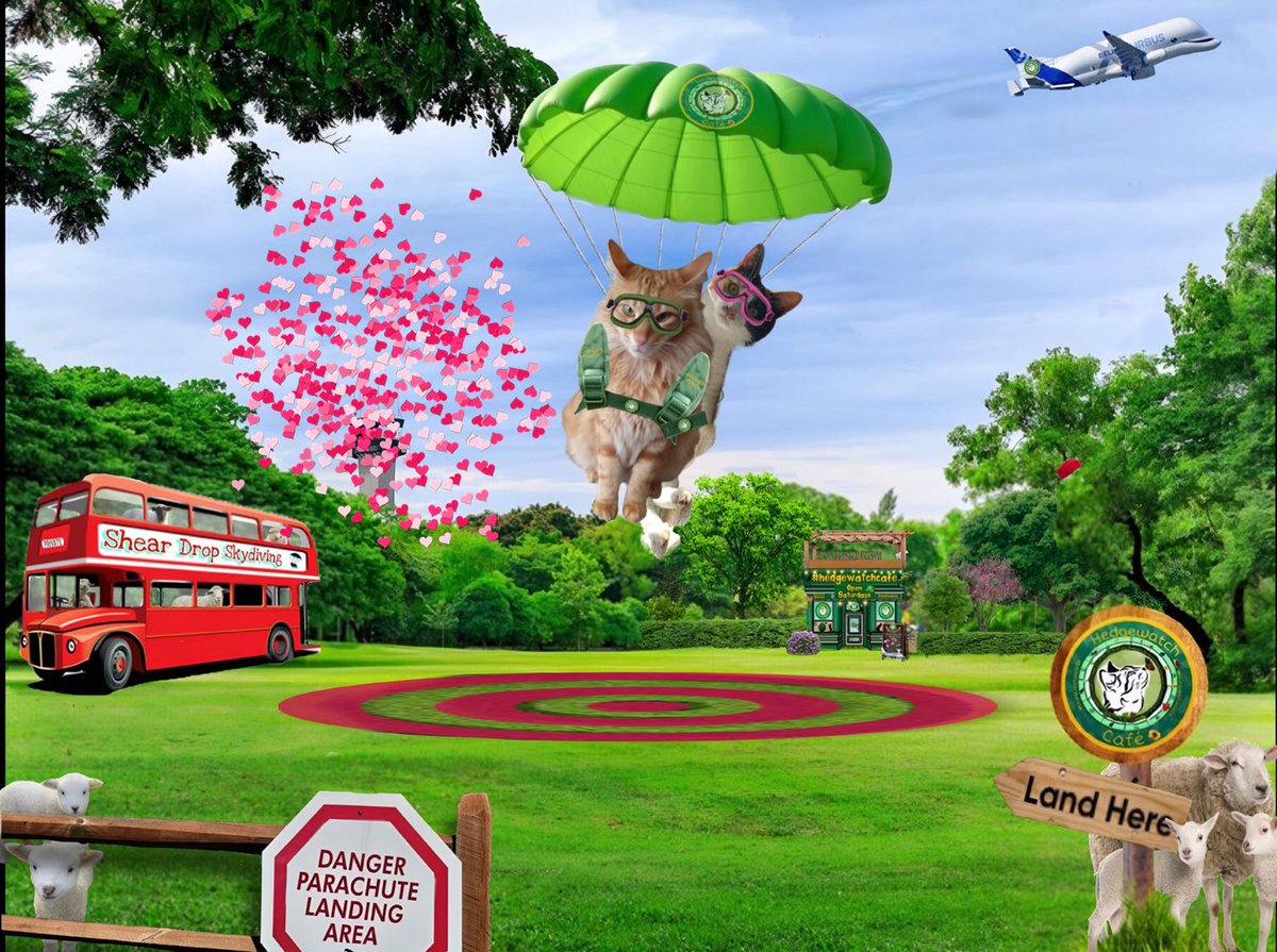 <a href="/holly_pickle1/">Holly 💖🫛💚🐾</a> <a href="/Hedgewatchers/">Hedgewatch</a> I can't see it... oh no... I think it landed somewhere in the trees! And the tower seems covered in the confetti 😬😹 #HWCafe #HWSnoopers