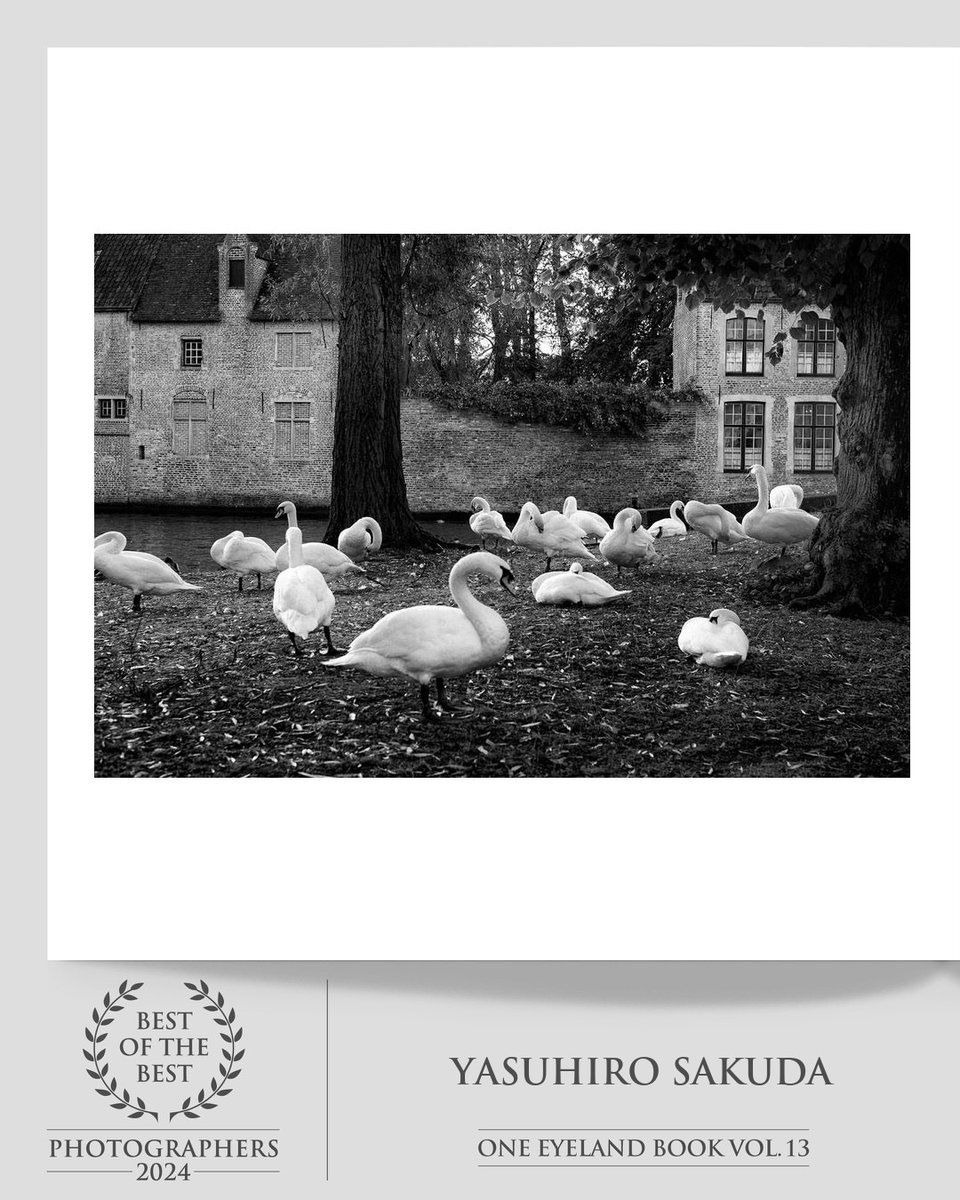 oneeyeland.com/book/
Download the book in PDF format for free

#OneEyeland #BestOfTheBest2024