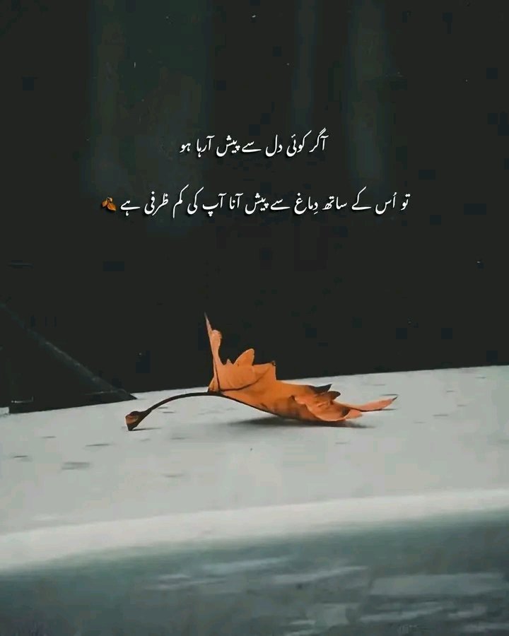 Danakhan..ð (@dana_pti) on Twitter photo #GPGð
<a href="/Ghz97/">âªðððððððð ðŠððððâª</a> <a href="/_oztr/">Ãzleâïž ðâªïž#Nika -àœŒ ð¯ïžð¥¶</a> <a href="/m80mh/">Muhammad Hilal</a>
<a href="/glmsjd/">ðºððððð
âš</a> <a href="/Fat9T/">Arshiaðð¥</a> <a href="/Trq88/">âïžâžðÎ±ÉŸÎ¹Ï ðÏ
ÉŸÆÎ±È¥Î±à¿</a>
<a href="/Hfz672/">Hafeezâ€ð€ð</a> <a href="/IK60K/">ðððððð¢ ðŸð ðððð</a>
<a href="/IK73_/">ðð²ðµ ð¹ðªð»ðªðð²ðŒð®</a> <a href="/zz70m/">ðžAmeer Zahirðµð°</a>
<a href="/asf_71/">S Rahe</a> <a href="/S47J1/">SáŽáŽáŽáŽÊð·</a>
<a href="/Pti7k/">ð¿ð¶vðððð¶_ð</a> <a href="/PRx9k/">ð·ððððððð ð¹ðððâ</a>
ð·
<a href="/11usx/">ÕsàžÎ±Õ² CÉŠeeɱαâª</a>
<a href="/19FKn/">ÙÛØµÙ خا٠(Fð
°ïžâ¹ïžSð
°ïžL Khð
°ïžÃ± )</a>
<a href="/ik_553/">.â â â â âðãã¹ã«ã³ ðð®ð¬ð€ðð§ð. â â â â â âð</a>
<a href="/4mir_8/">Aamir Hayat Awan</a>
<a href="/As_t40/">ð ðððððð«</a>
<a href="/anm40/">Anam Kanwal</a>
<a href="/4Usmn/">ð¡ðªð·ðª ð€ðŒð¶ðªð·</a>
<a href="/Sd_S10/">Sadam Rajput</a>
<a href="/Hfz512/">Abdul Hafeez</a>
<a href="/AS1k34/">Abrish khan</a>
<a href="/__Libra1/">ððððð ððððð</a>
<a href="/Q_paro1/">ð¬ððððꪫꀪꀚð«ððððâïž</a>
<a href="/shd0016/">Shahid</a>
<a href="/OdriSeva/">Odri Seva</a>
<a href="/Sc2017W/">SC2017</a>
@hshdhakhd
<a href="/Hfz48/">HáŽÒáŽáŽáŽ¢áŽÊ AáŽÊáŽÊ</a> <a href="/Triq25/">‹ððªððð¢ð¢ðð ððð§ððŠâ€ž</a>
<a href="/Ghz21/">âðð¡ðð³ðð¥ð ðððððâ</a> <a href="/m81mh/">Muhammad Hilal</a> <a href="/Ghz79/">â ðŸððð«ðððð ððððð â</a> #GPGð
<a href="/Ghz97/">âªðððððððð ðŠððððâª</a> <a href="/_oztr/">Ãzleâïž ðâªïž#Nika -àœŒ ð¯ïžð¥¶</a> <a href="/m80mh/">Muhammad Hilal</a>
<a href="/glmsjd/">ðºððððð
âš</a> <a href="/Fat9T/">Arshiaðð¥</a> <a href="/Trq88/">âïžâžðÎ±ÉŸÎ¹Ï ðÏ
ÉŸÆÎ±È¥Î±à¿</a>
<a href="/Hfz672/">Hafeezâ€ð€ð</a> <a href="/IK60K/">ðððððð¢ ðŸð ðððð</a>
<a href="/IK73_/">ðð²ðµ ð¹ðªð»ðªðð²ðŒð®</a> <a href="/zz70m/">ðžAmeer Zahirðµð°</a>
<a href="/asf_71/">S Rahe</a> <a href="/S47J1/">SáŽáŽáŽáŽÊð·</a>
<a href="/Pti7k/">ð¿ð¶vðððð¶_ð</a> <a href="/PRx9k/">ð·ððððððð ð¹ðððâ</a>
ð·
<a href="/11usx/">ÕsàžÎ±Õ² CÉŠeeɱαâª</a>
<a href="/19FKn/">ÙÛØµÙ خا٠(Fð
°ïžâ¹ïžSð
°ïžL Khð
°ïžÃ± )</a>
<a href="/ik_553/">.â â â â âðãã¹ã«ã³ ðð®ð¬ð€ðð§ð. â â â â â âð</a>
<a href="/4mir_8/">Aamir Hayat Awan</a>
<a href="/As_t40/">ð ðððððð«</a>
<a href="/anm40/">Anam Kanwal</a>
<a href="/4Usmn/">ð¡ðªð·ðª ð€ðŒð¶ðªð·</a>
<a href="/Sd_S10/">Sadam Rajput</a>
<a href="/Hfz512/">Abdul Hafeez</a>
<a href="/AS1k34/">Abrish khan</a>
<a href="/__Libra1/">ððððð ððððð</a>
<a href="/Q_paro1/">ð¬ððððꪫꀪꀚð«ððððâïž</a>
<a href="/shd0016/">Shahid</a>
<a href="/OdriSeva/">Odri Seva</a>
<a href="/Sc2017W/">SC2017</a>
@hshdhakhd
<a href="/Hfz48/">HáŽÒáŽáŽáŽ¢áŽÊ AáŽÊáŽÊ</a> <a href="/Triq25/">‹ððªððð¢ð¢ðð ððð§ððŠâ€ž</a>
<a href="/Ghz21/">âðð¡ðð³ðð¥ð ðððððâ</a> <a href="/m81mh/">Muhammad Hilal</a> <a href="/Ghz79/">â ðŸððð«ðððð ððððð â</a>