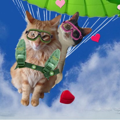 <a href="/holly_pickle1/">Holly 💖🫛💚🐾</a> <a href="/Hedgewatchers/">Hedgewatch</a> Prinzi: Hooorray! She said yes! I got you a ring... ooooh, oops! Oh no, I dropped the ring! (shouts down) NOBODY MOVE! I lost the ring! 🙀 #HWCafe #HWSnoopers