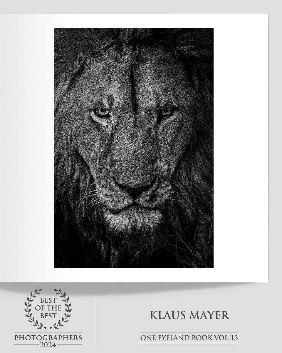 oneeyeland.com/book/
Download the book in PDF format for free

#OneEyeland #BestOfTheBest2024