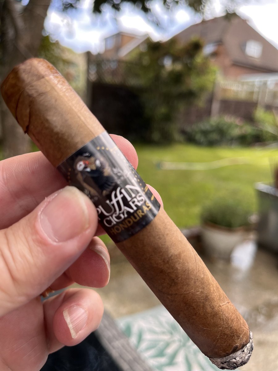 lcabbie's tweet photo. Puffin on a puffin via ⁦@Cgarsltd⁩ 💨💨 https://t.co/PIYQiFWNof