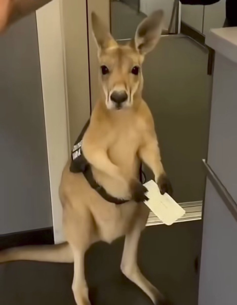 I'm still thinking about him🥹🥹🥹