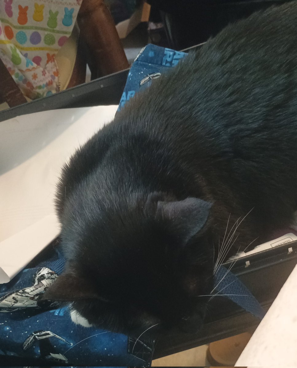 SciFiMombie (@scifimombie) on Twitter photo Mombie's workin' today but Captain Bootsie is staying by her side. <a href="/SFMSecurity/">SFM Security</a> #scifimombie #happycaturday Mombie's workin' today but Captain Bootsie is staying by her side. <a href="/SFMSecurity/">SFM Security</a> #scifimombie #happycaturday