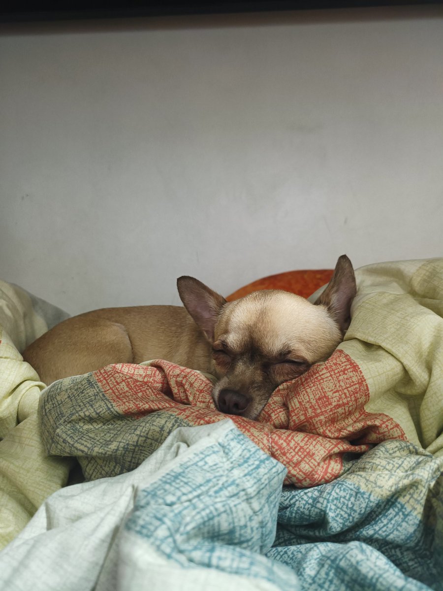 Progress over perfection — cheers to everything May taught us 🫡

Good night May 💤