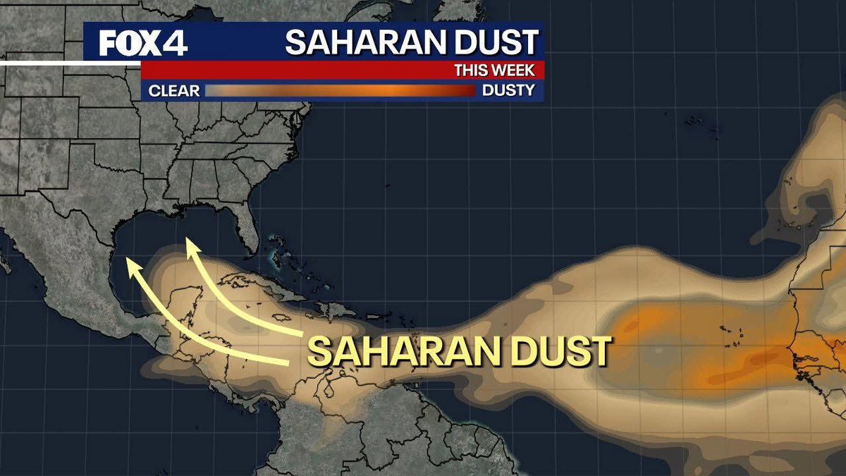 Protect|ED tweet media