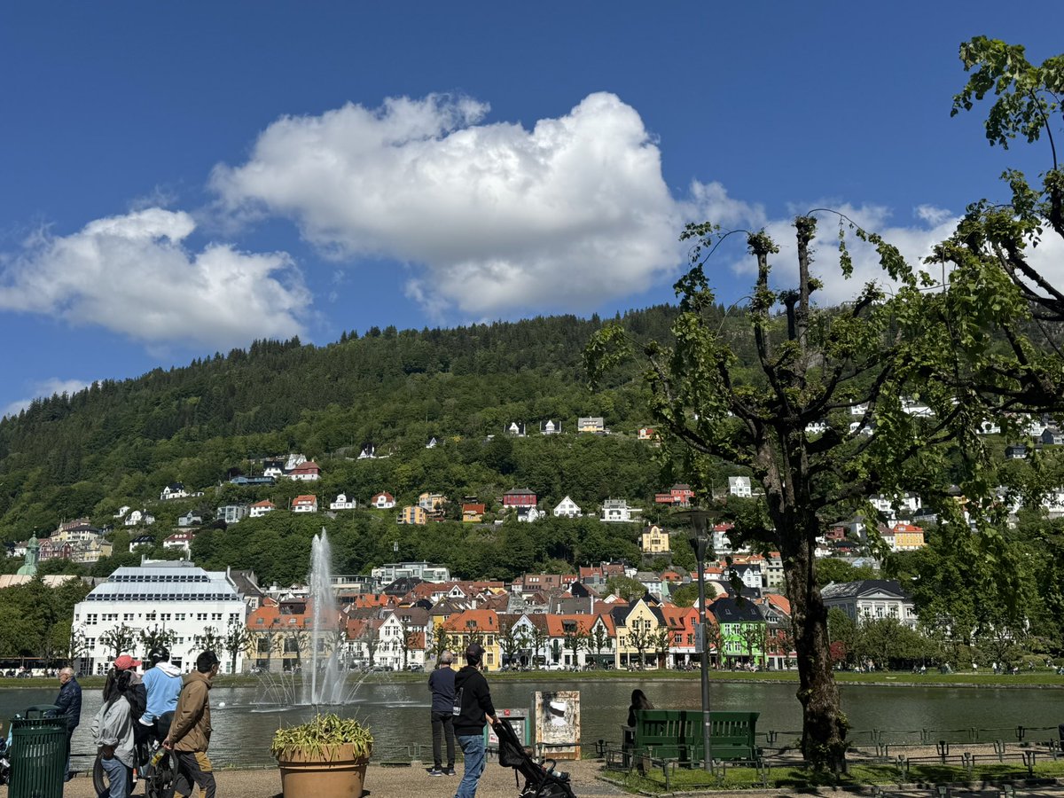 nancy_sorrell's tweet image. Such a lovely day in Bergen. It’s so pretty, I just love it. So much to see and do.
#bergen
#pretty
#art
#culture
#flowers