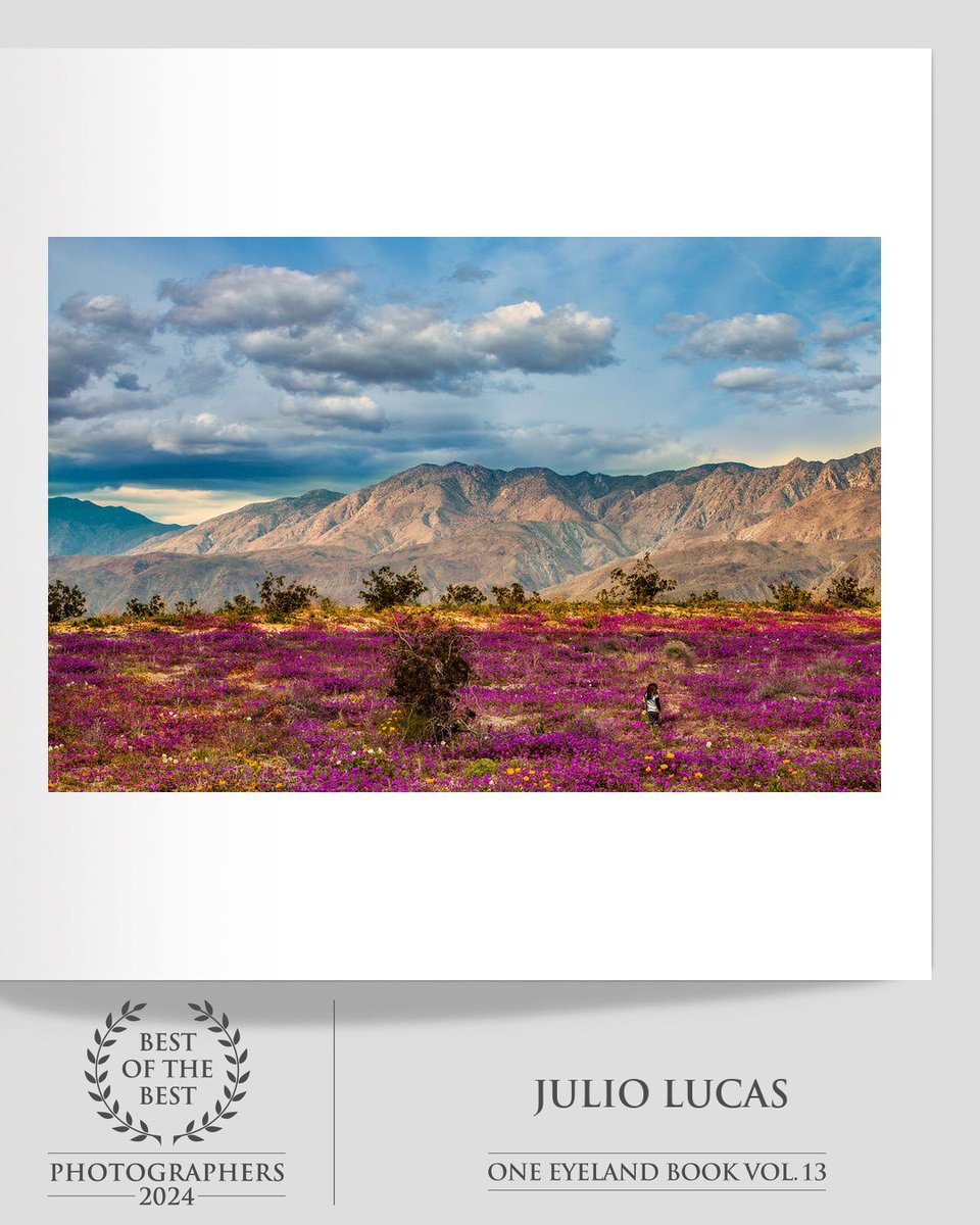 oneeyeland.com/book/
Download the book in PDF format for free

#OneEyeland #BestOfTheBest2024