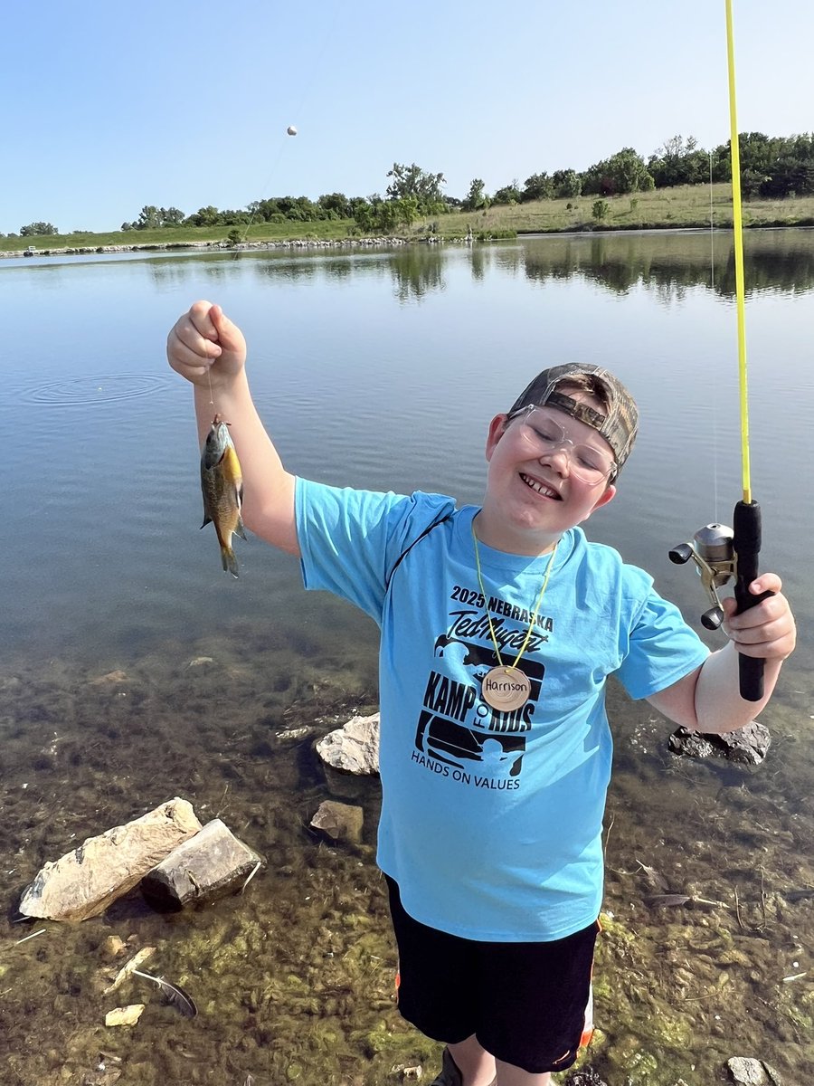 Tom Opre tweet media