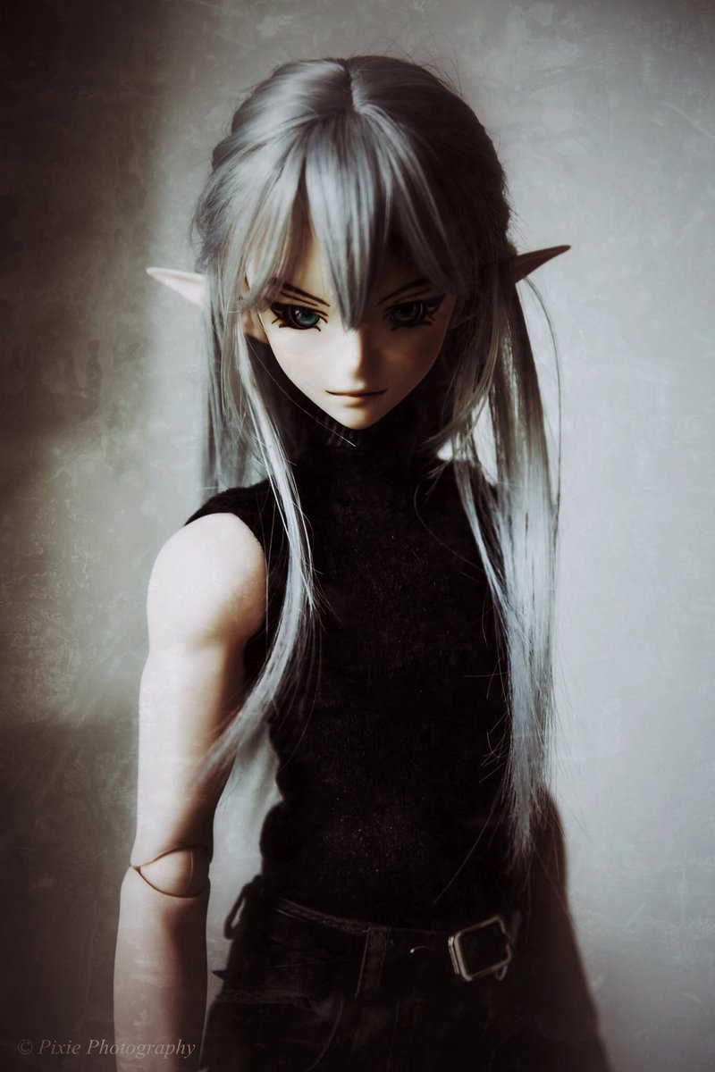 pygnille's tweet image. In a post-apocalyptic world elves still excist. They are fierce warriors that are feared by their opponents #smartdoll #smartdollphotography #dannychoo