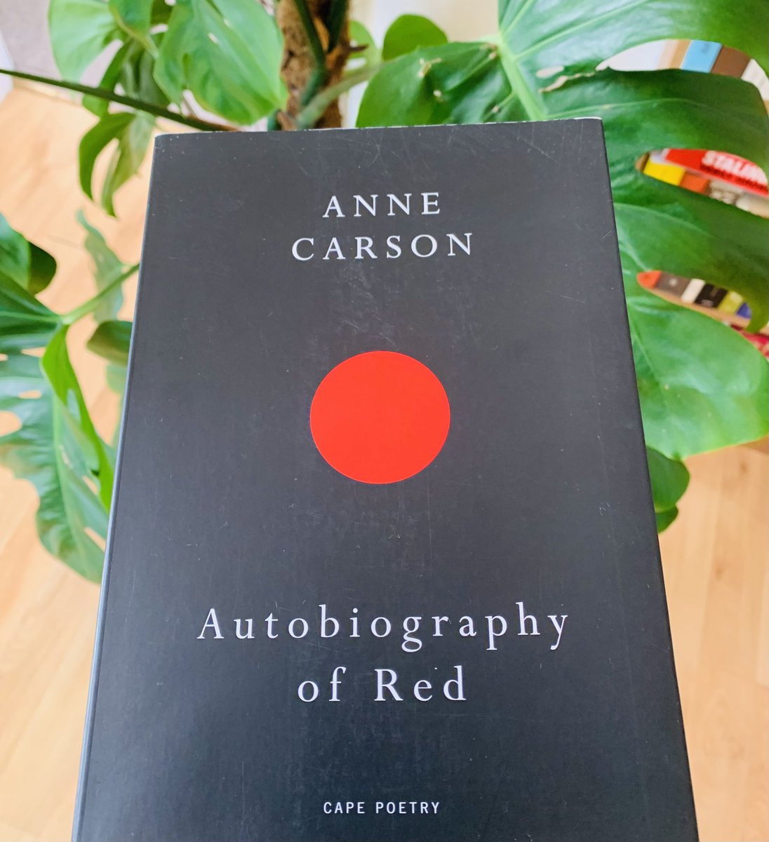 DrDavidVernon's tweet photo. Anne Carson’s verse novel Autobiography of Red (1998) fuses modern life with Greek myth and is both a pseudo-study of classical literature and an examination of present-day adolescent sexuality. A great work of originality, wit and often unbearable poignancy. https://t.co/JxM8uQKglK