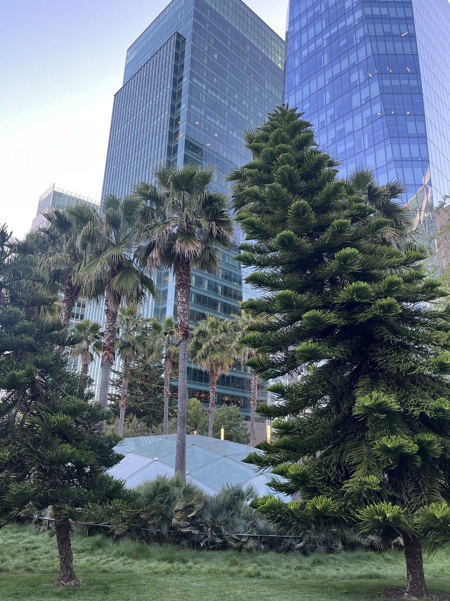 shrey birmiwal tweet media