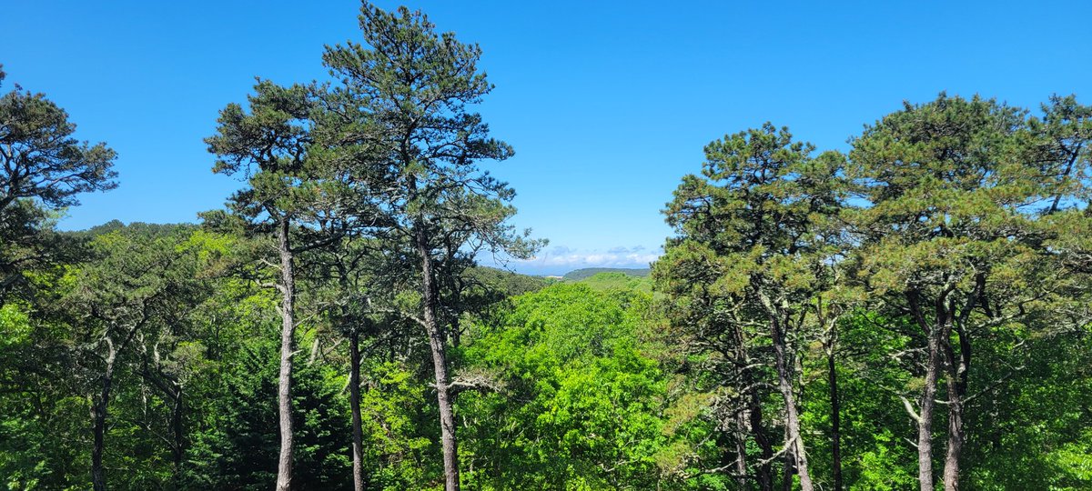 View from the window just now: skies cleared after rain