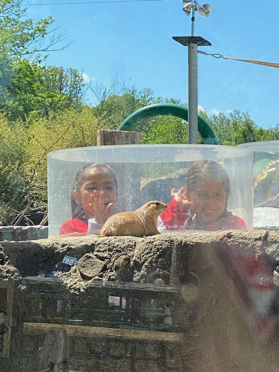 Hockey in New Jersey tweet media