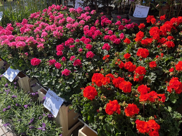 Thank you to everyone who attended the special flower market in Hoddesdon on Friday 🌸

Did you know that we've also added regular markets in Waltham Cross every Sunday from 10am to 4pm? Come along to shop locally and support local traders and the town! 🛍️