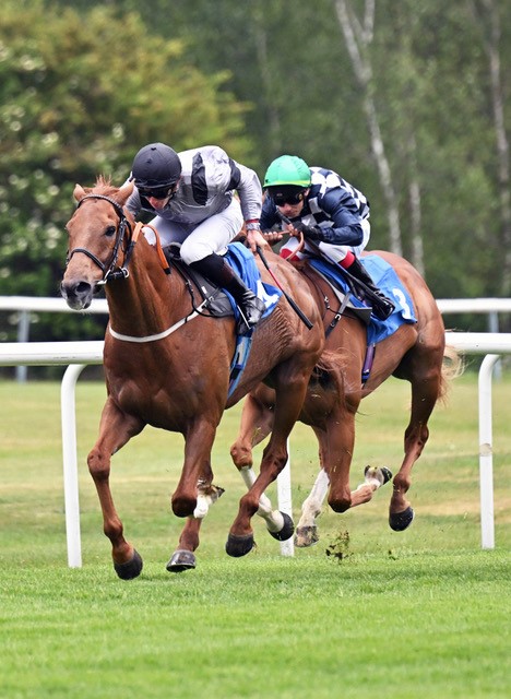 Some action shots from our Family Fun Raceday on May 26th! 😃🏇
