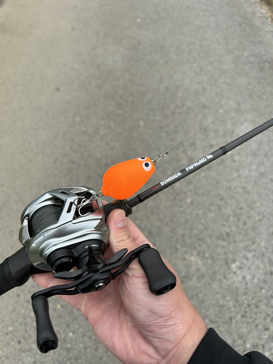 雷魚ロッド ボンバダアグア PAPAGAIO56(パパガイオ56)(ベイト) 56 楽天