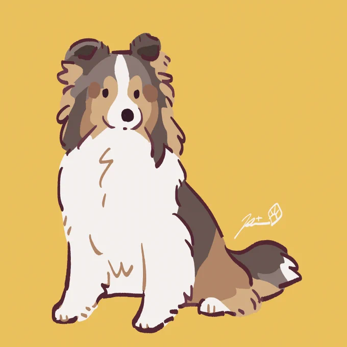 #シェルティの日