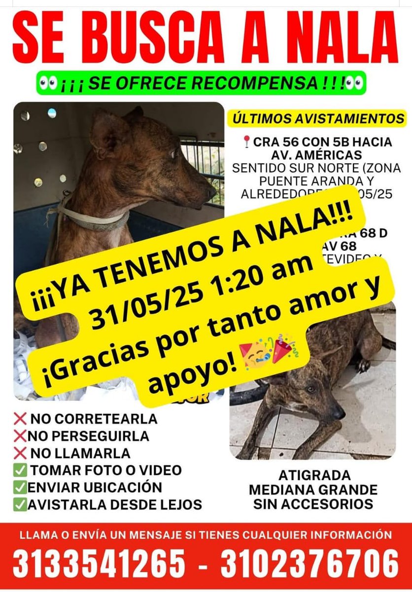 sandra pulido (@slpulido) on Twitter photo <a href="/MaLiliBD/">LiliB</a> <a href="/CamiloJaramill/">Camilo Jaramillo</a> <a href="/AHLLAMAS/">Antonio Hernández</a> <a href="/andreanimalidad/">Andrea Padilla Villarraga🐆</a> <a href="/andrespreciadop/">Andrés Preciado</a> <a href="/YerlyMozo/">Yerly Mozo</a> <a href="/AngieChaparroS/">Angie Chaparro Sierra</a> <a href="/qvamparo/">Amparo Quintero 🇵🇸</a> <a href="/Margaritarosadf/">Margarita Rosa</a> <a href="/MONYRODRIGUEZOF/">MÓNICA RODRÍGUEZ 🐤</a> <a href="/JuanAndresBog/">Juan Andrés Romero 🐇</a> <a href="/ColombiaOscura_/">Colombia Oscura</a> <a href="/altereddie/">¿Se lo explico con plastilina?</a> <a href="/RCAnimal/">Conexión Animal</a> <a href="/NoticiasRCN/">Noticias RCN</a> <a href="/NoticiasCaracol/">Noticias Caracol</a> <a href="/CanalCapital/">Canal Capital</a> <a href="/PoliciaColombia/">Policía de Colombia</a> <a href="/DiaAnimales/">Al Día Con Los Animales 🐾</a> <a href="/patrulleroefra/">Efrain Arce</a> Apareció hoy <a href="/MaLiliBD/">LiliB</a> <a href="/CamiloJaramill/">Camilo Jaramillo</a> <a href="/AHLLAMAS/">Antonio Hernández</a> <a href="/andreanimalidad/">Andrea Padilla Villarraga🐆</a> <a href="/andrespreciadop/">Andrés Preciado</a> <a href="/YerlyMozo/">Yerly Mozo</a> <a href="/AngieChaparroS/">Angie Chaparro Sierra</a> <a href="/qvamparo/">Amparo Quintero 🇵🇸</a> <a href="/Margaritarosadf/">Margarita Rosa</a> <a href="/MONYRODRIGUEZOF/">MÓNICA RODRÍGUEZ 🐤</a> <a href="/JuanAndresBog/">Juan Andrés Romero 🐇</a> <a href="/ColombiaOscura_/">Colombia Oscura</a> <a href="/altereddie/">¿Se lo explico con plastilina?</a> <a href="/RCAnimal/">Conexión Animal</a> <a href="/NoticiasRCN/">Noticias RCN</a> <a href="/NoticiasCaracol/">Noticias Caracol</a> <a href="/CanalCapital/">Canal Capital</a> <a href="/PoliciaColombia/">Policía de Colombia</a> <a href="/DiaAnimales/">Al Día Con Los Animales 🐾</a> <a href="/patrulleroefra/">Efrain Arce</a> Apareció hoy