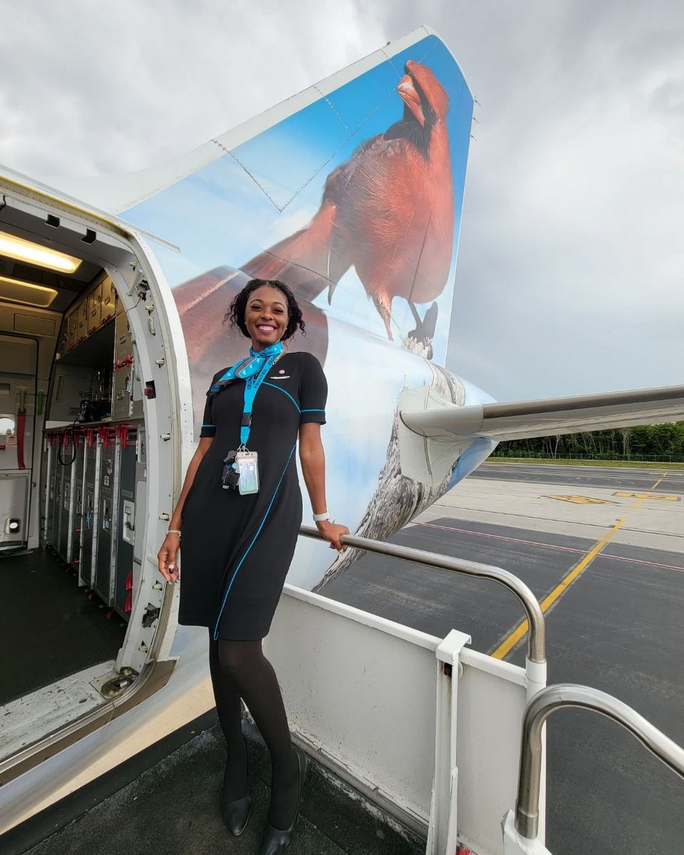 Frontier Airlines tweet media