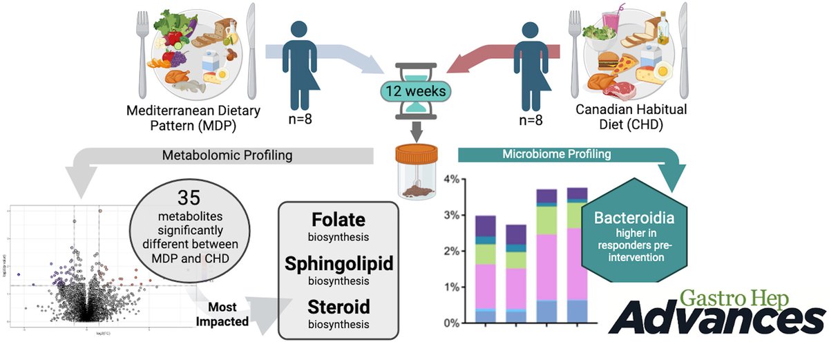 Gastroenterology (@aga_gastro) on Twitter photo From GHA ➡️ The Mediterranean diet is linked to health-promoting gut microbes. This study highlights diet can drive beneficial changes in gut chemicals, offering potential to reduce inflammation in ulcerative colitis.
👨⚕️ <a href="/nhaskeyRD/">Natasha Haskey PhD RD 👩🔬🔬🍉</a>
Read now 🔗 ow.ly/uqcH50VXTaB From GHA ➡️ The Mediterranean diet is linked to health-promoting gut microbes. This study highlights diet can drive beneficial changes in gut chemicals, offering potential to reduce inflammation in ulcerative colitis.
👨⚕️ <a href="/nhaskeyRD/">Natasha Haskey PhD RD 👩🔬🔬🍉</a>
Read now 🔗 ow.ly/uqcH50VXTaB