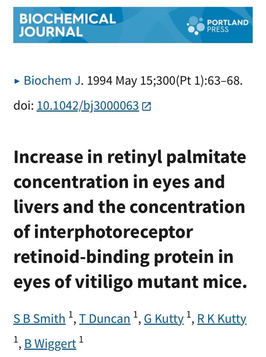 VITILIGO IS A “vitamin” A TOXICITY CONDITION &amp; IS AN EXAMPLE OF SLOW DETOX

In this study, mice with a “vitiligo mutation” were fed the regular lab mouse diet and had their “vitamin” A levels measured in their eyes, liver, and blood (plasma)

It was noted that “Vitiligo mice