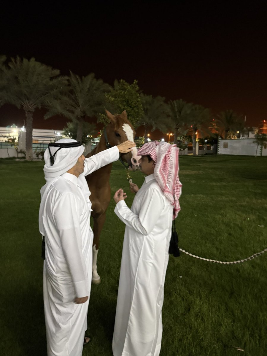 حسن بن شقر tweet media