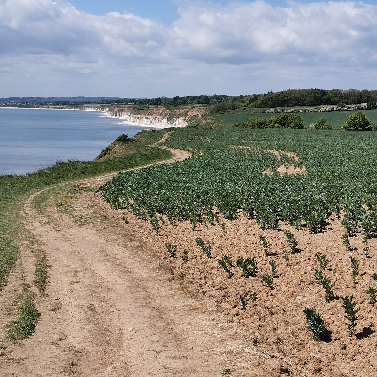 EcologistsAgainstTheCull tweet media