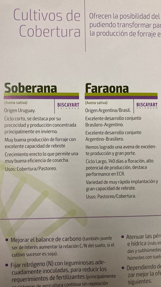 MininnoNico's tweet photo. Avenas disponible… https://t.co/j2VOkI77lQ