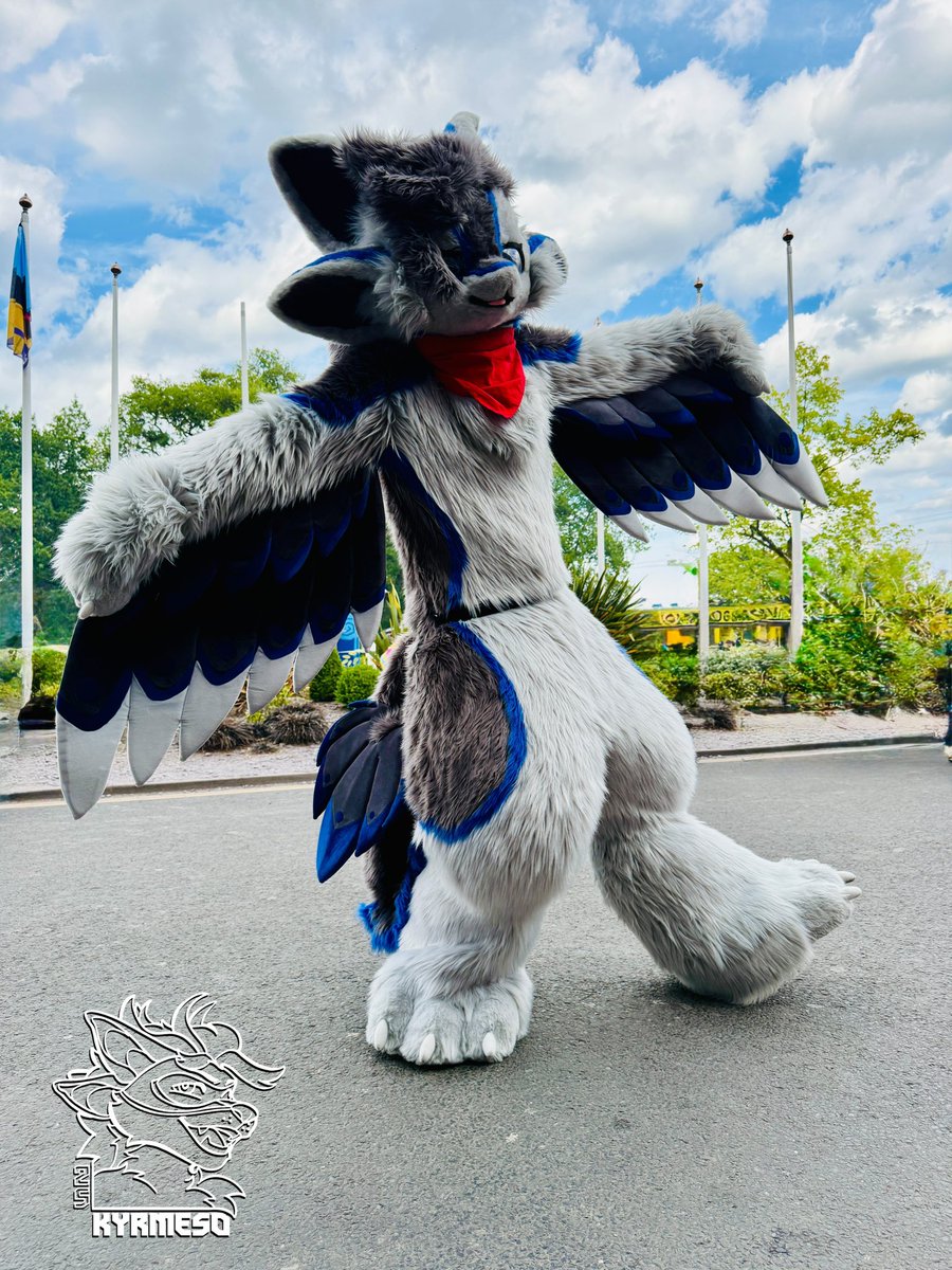 Kyrmeso 🇪🇺 EF30 tweet media