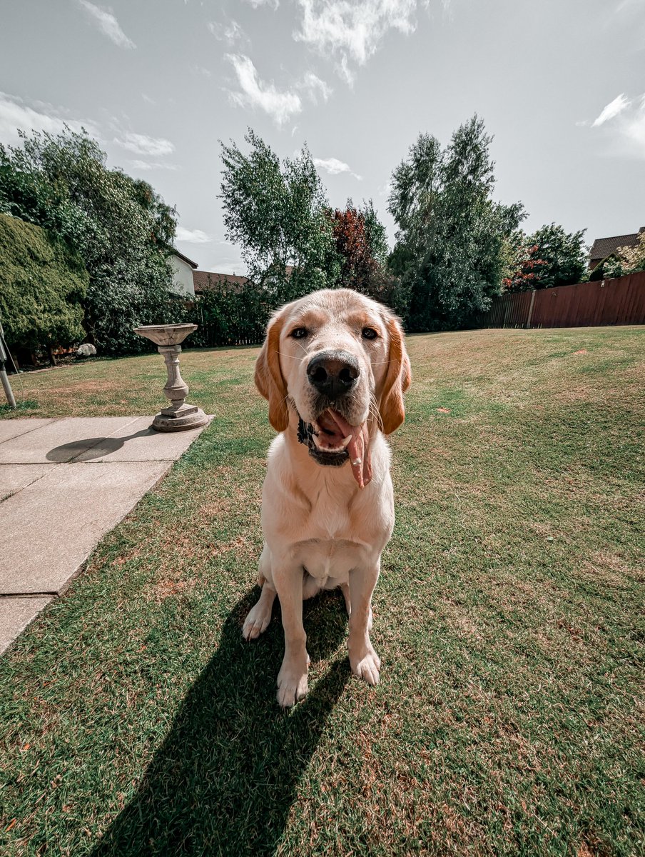 May was fun.

We go again.