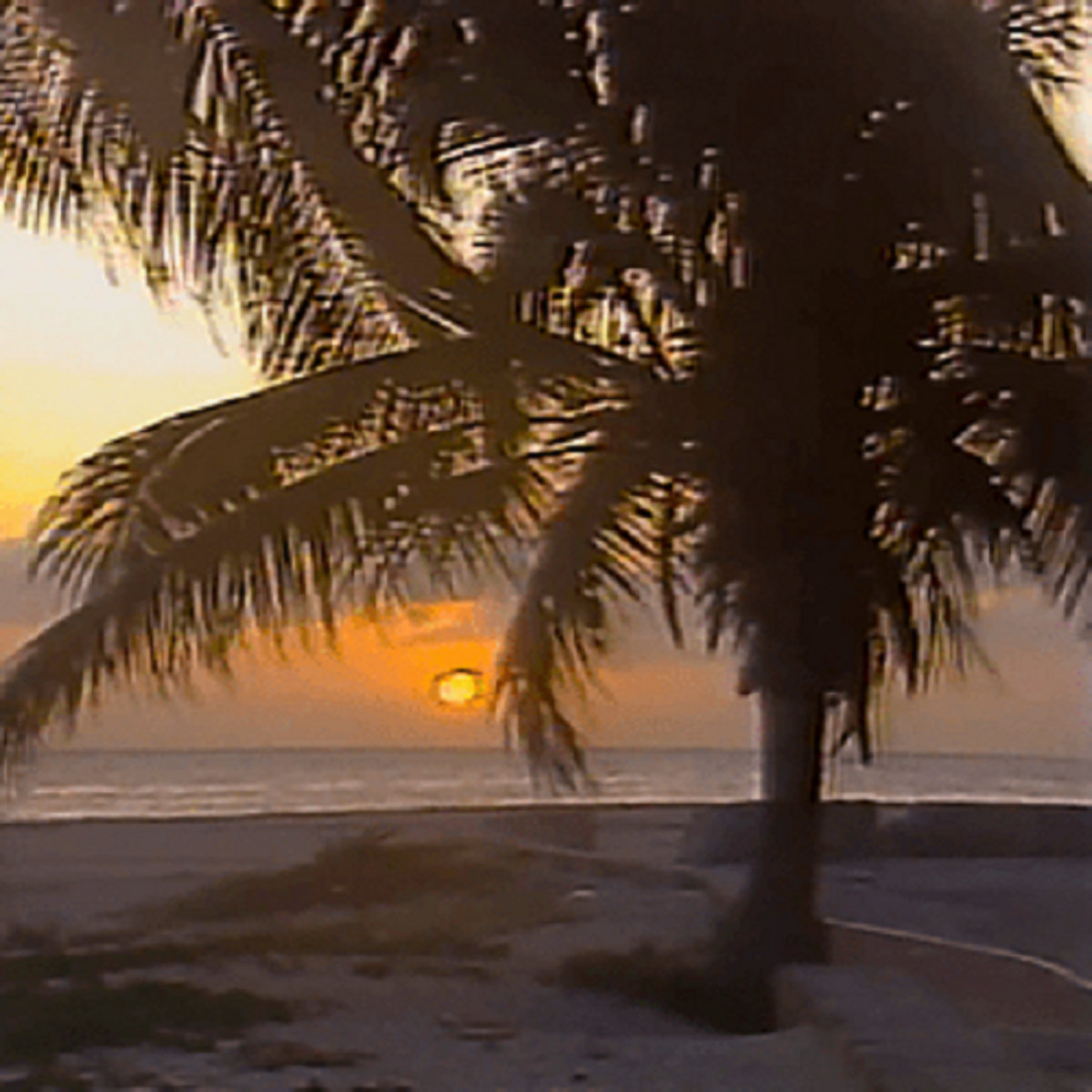 Summer is upon us...

☀️🌊 'oceanside' out now 🌊☀️

midnightpremiere.bandcamp.com/album/oceanside